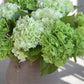 18" Realistic Real Touch Artificial Hydrangea Stem: Light Green - The Mustard Seed Collection, The Seed