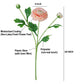 18"-Ultra Realistic Artificial Real Touch Ranunculus: White with Lavender Trim - The Mustard Seed Collection, The Seed
