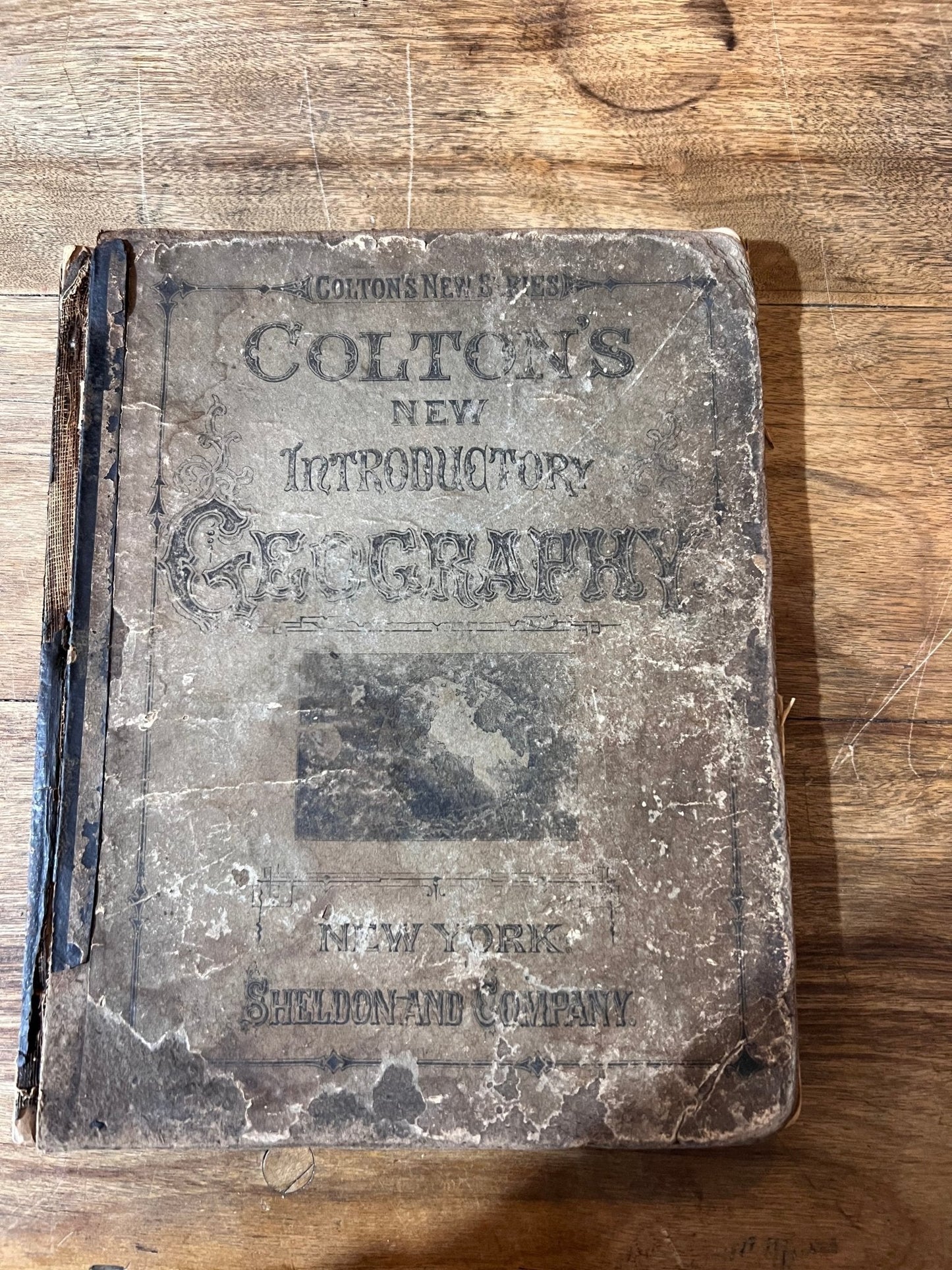1881 - Colton's New Introductory Geography 
