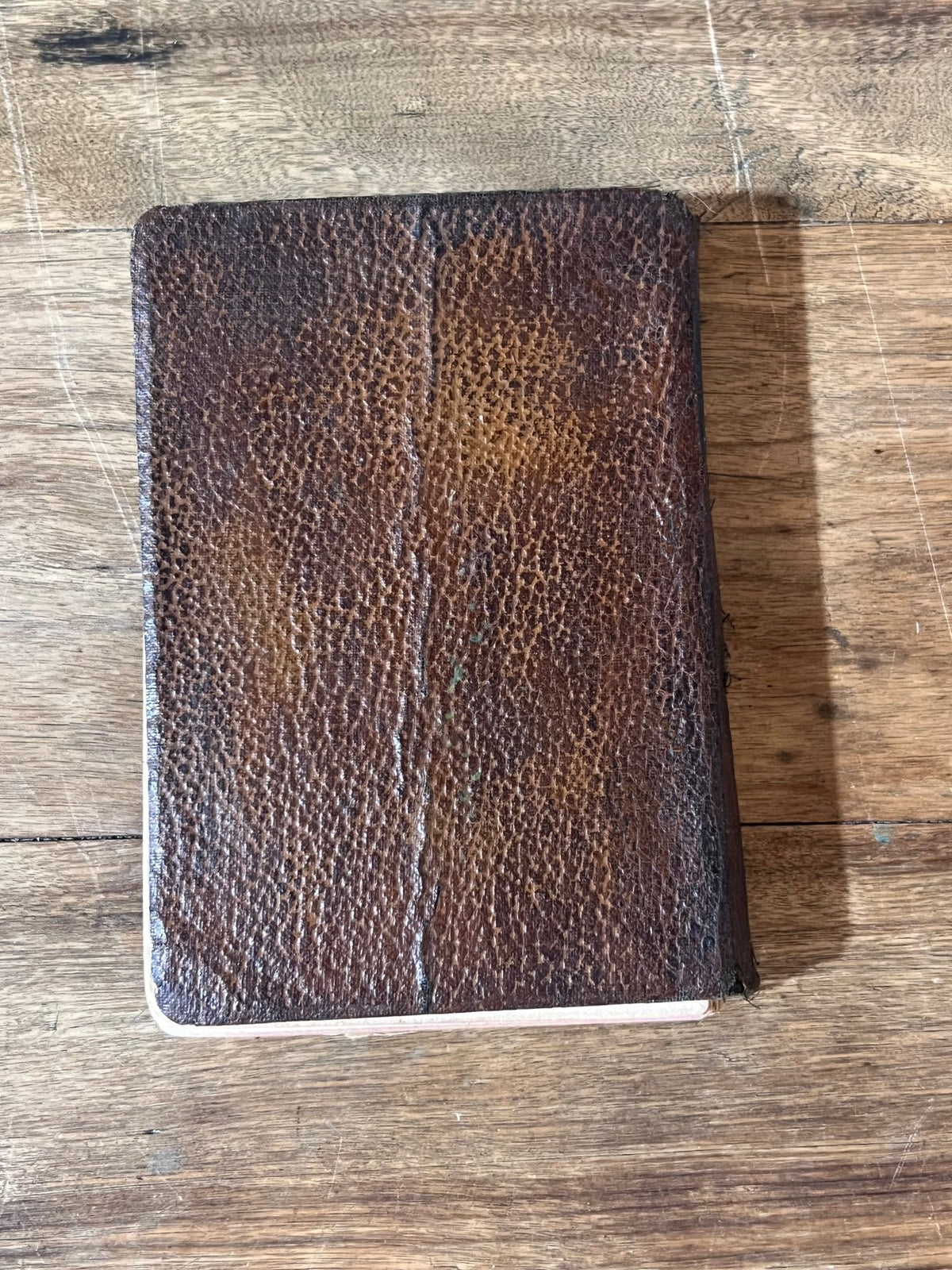 1927 - The New Popular Pocket Webster Dictionary Book 