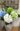 18" Large Bloom Supreme Real Touch Hydrangea: Soft Blue Angel Isabella