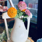 20" Celebrity Dahlia Stem - The Mustard Seed Collection, The Seed