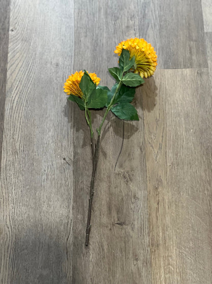 20" Celebrity Dahlia Stem - The Mustard Seed Collection, The Seed