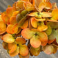 22" Artificial Hydrangea Stem –Fall Theme Large Bloom: Plum Green - The Mustard Seed Collection, The Seed