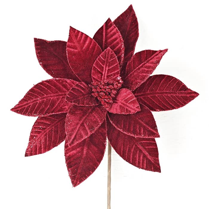 26Lx11D Fine Velvet Poinsettia w Glitter Edges