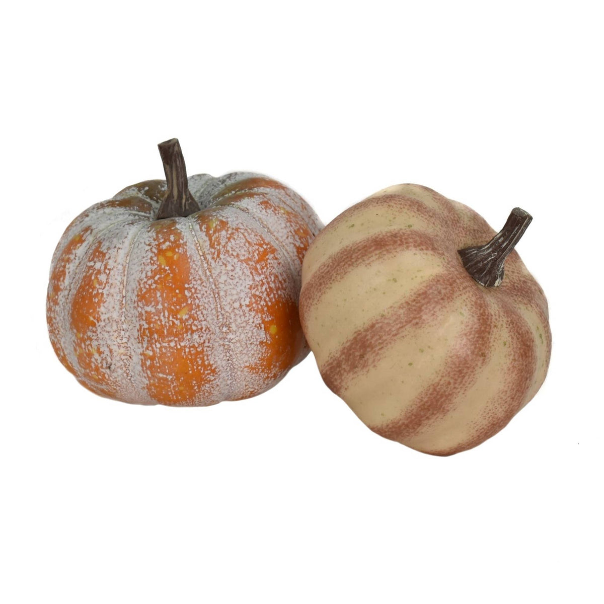 2.5"-3" Fairytale Pumpkins - The Mustard Seed Collection, The Seed