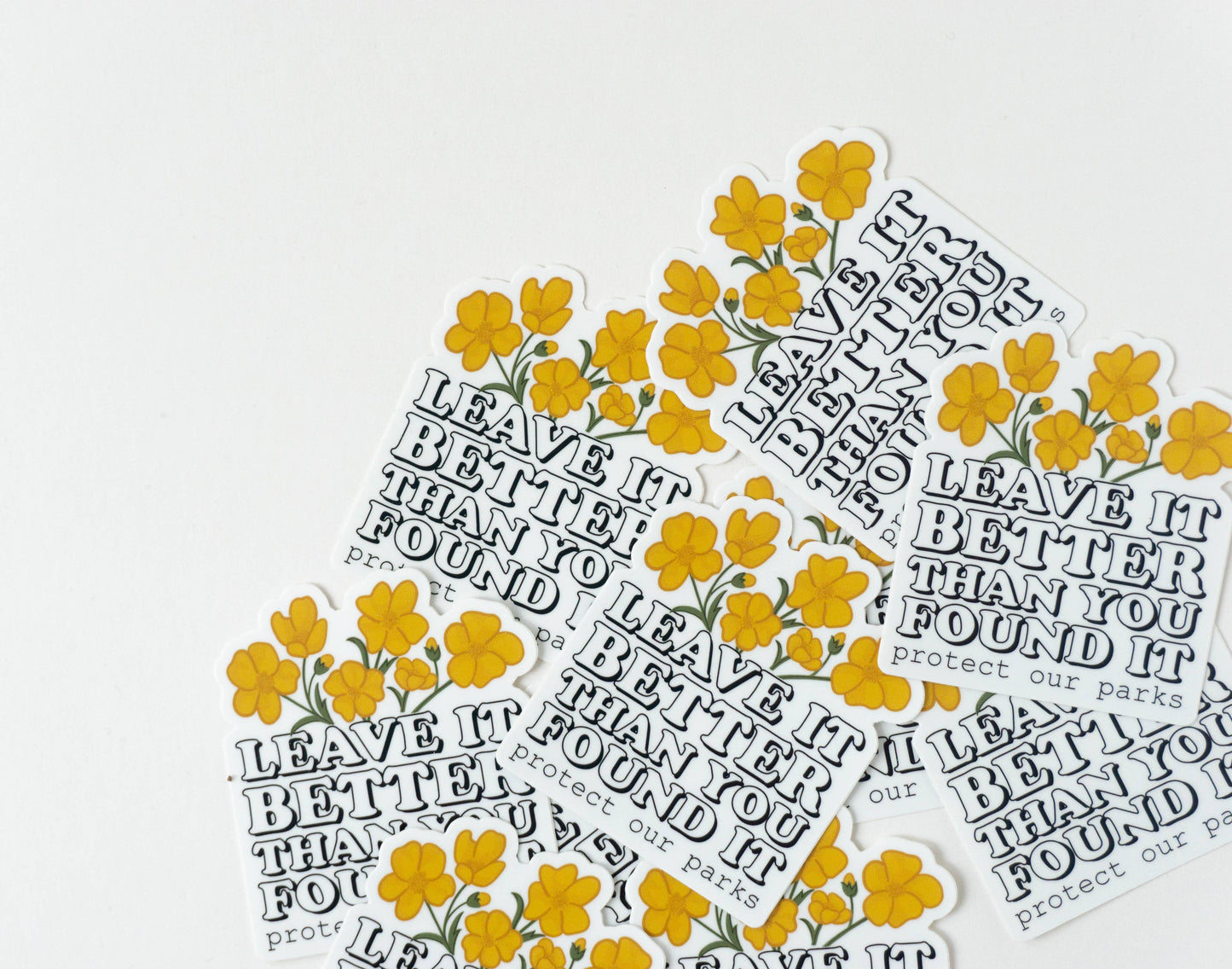 Leave it better than you found it national park sticker