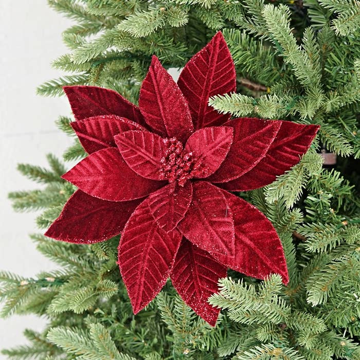26Lx11D Fine Velvet Poinsettia w Glitter Edgesflorals