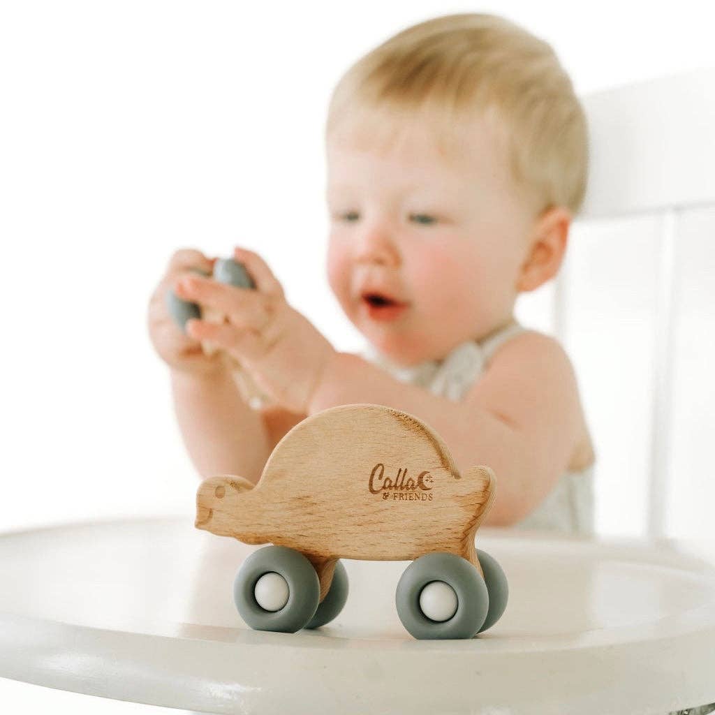 Turtle Silicone & Beechwood Teether Toy: Powder Blue