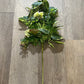 29" Floral Spray - The Mustard Seed Collection, The Seed