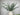 Real Touch Premium Quality Olive Branch Leaf Fruit Spray: 32"-72Leaves Angel Isabella