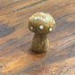 Polka Dot Cottage Mushroom The Mustard Seed Collection, The Seed