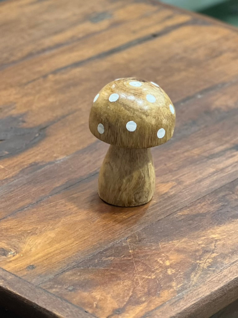 Polka Dot Cottage Mushroom The Mustard Seed Collection, The Seed