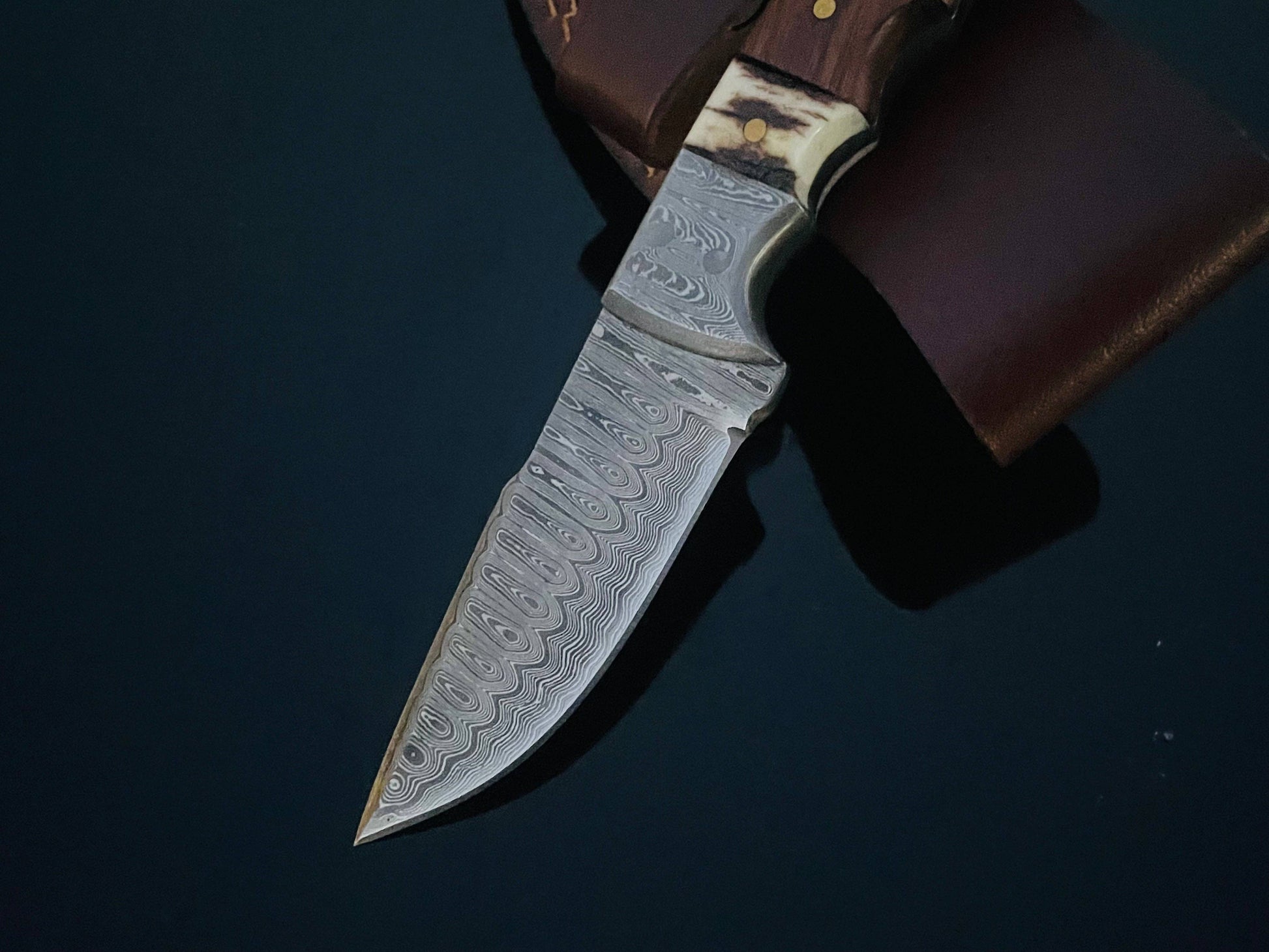 DAMASCUS STEEL FIXED BLADE KNIFE WITH WALNUT & STAG HORN HANDLE