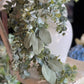 32" Hanging Green Leaf - The Mustard Seed Collection, The Seed