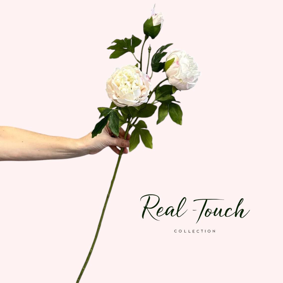 32" Ultra Realistic Elegant Real Touch Artificial Peony: Off-White - The Mustard Seed Collection, The Seed