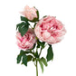 32" Ultra Realistic Elegant Real Touch Artificial Peony: Off-White - The Mustard Seed Collection, The Seed