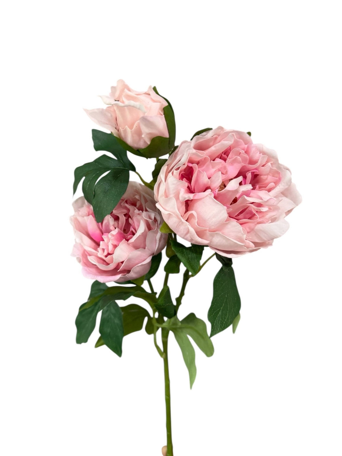32" Ultra Realistic Elegant Real Touch Artificial Peony: Off-White - The Mustard Seed Collection, The Seed