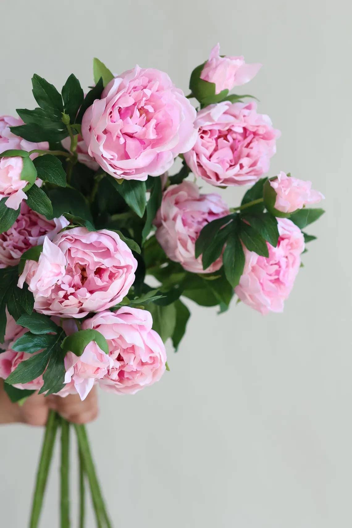 32" Ultra Realistic Elegant Real Touch Artificial Peony: Off-White - The Mustard Seed Collection, The Seed