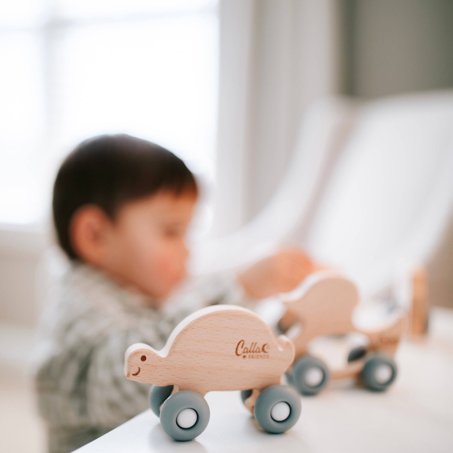 Turtle Silicone & Beechwood Teether Toy: Powder Blue