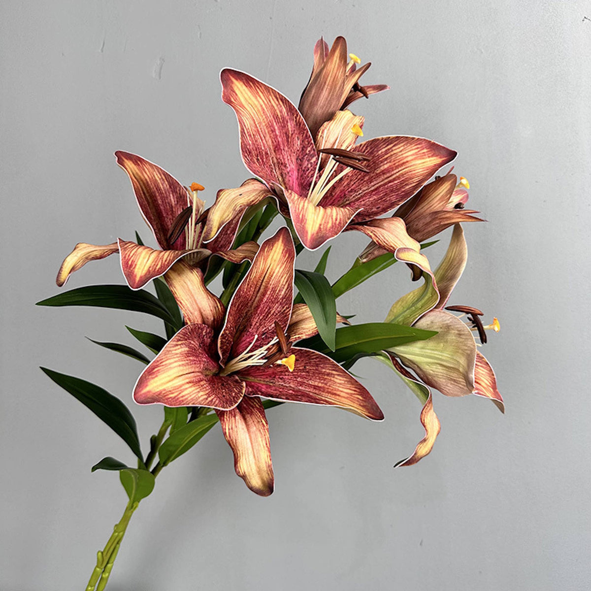 34.5"-Elegant 9" Large Bloom Lily-3 Flowers per stem: Brown Orange - The Mustard Seed Collection, The Seed