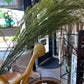 36' Sea Grass Stem