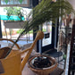 36' Sea Grass Stem