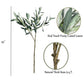 39" Real Touch Premium Quality Olive Branch Leaf Fruit Spray - The Mustard Seed Collection, The Seed