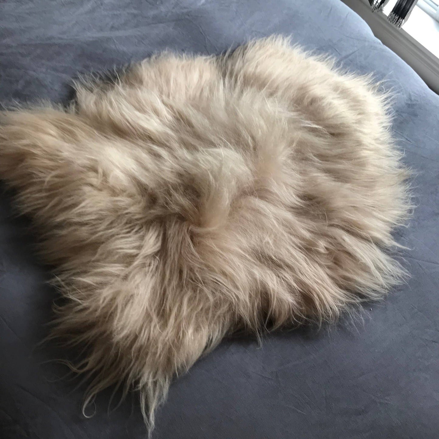 Honey Gold Icelandic Longhair Sheepskin Rug Throw Hide: Large