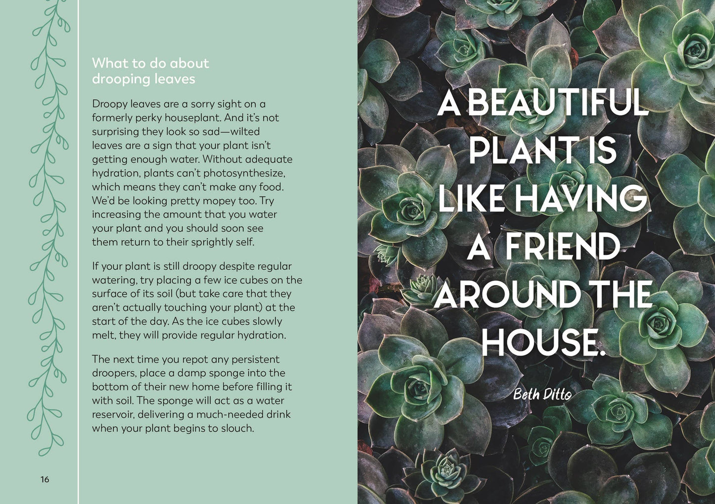 The Little Book for Plant Parents: Hardcover