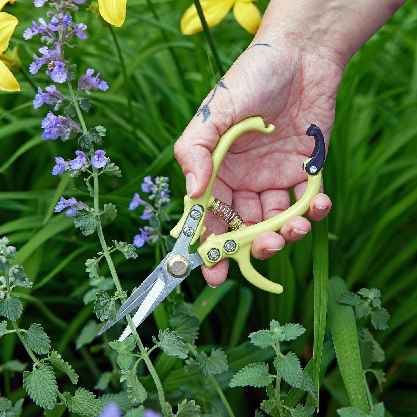 Garden Shears : Chartreuse