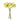 11" Real Touch Poppy-6 stems per bundle: Peach Bellini Angel Isabella
