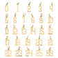 18K Gold PVD Stainless Steel Small Number Charm: 8 WJW