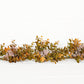 5ft Garland-Fall Mix Seeded Eucalyptus - The Mustard Seed Collection, The Seed