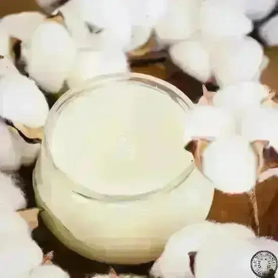 6 oz Cotton Winds VW Candle - The Mustard Seed Collection, The Seed