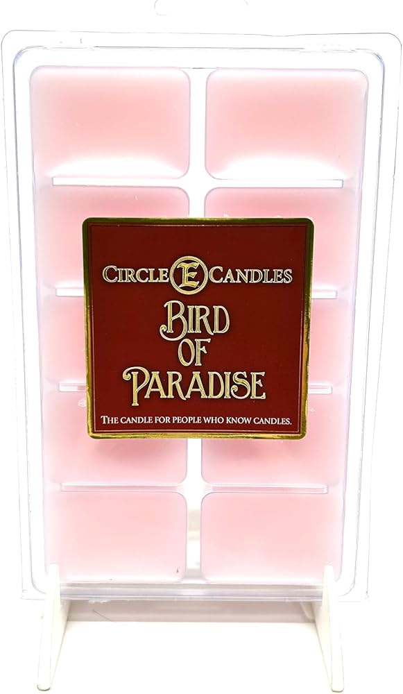 Bird of Paradise Circle E Candle Candle Tarts