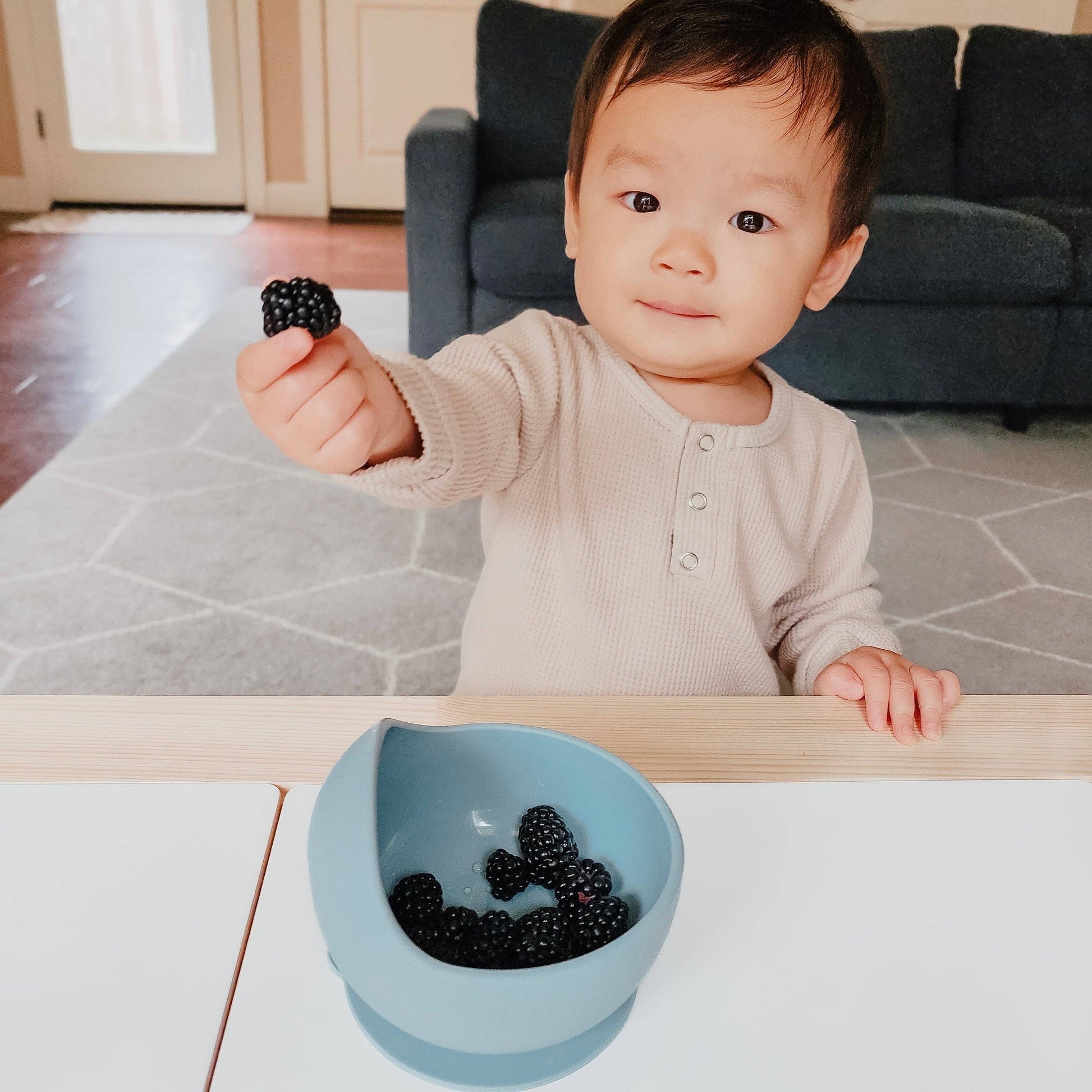Easy Scoop Suction Bowl: Fawn