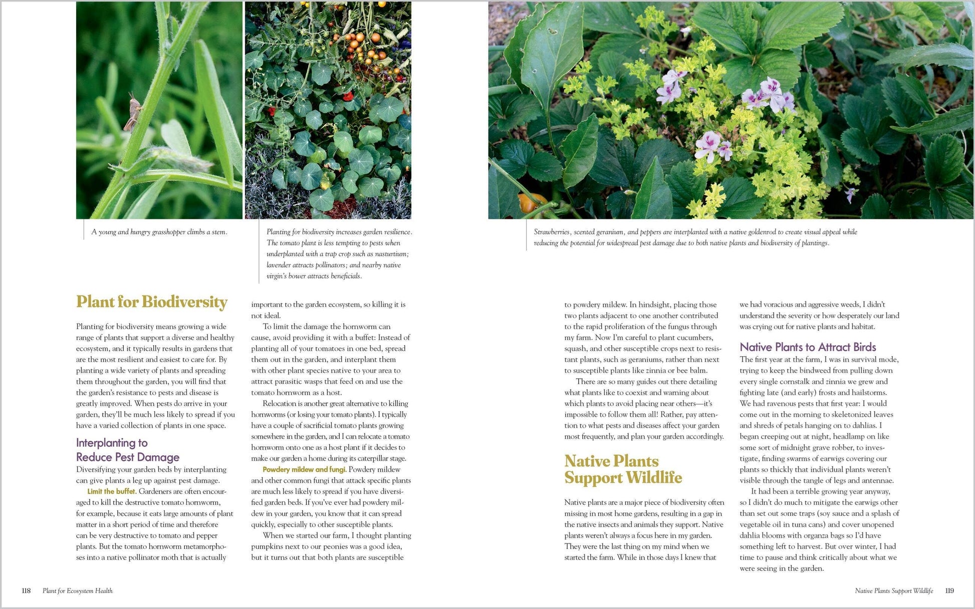 The Regenerative Gardener's Handbook