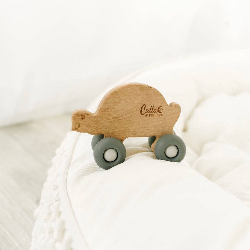 Turtle Silicone & Beechwood Teether Toy: Powder Blue