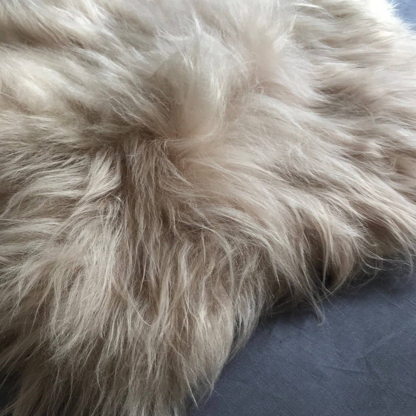 Honey Gold Icelandic Longhair Sheepskin Rug Throw Hide: Large