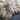 Honey Gold Icelandic Longhair Sheepskin Rug Throw Hide: Large Wildash London