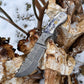 8'' Compact Tracker best all-round camping knife TD-085 - The Mustard Seed Collection, The Seed