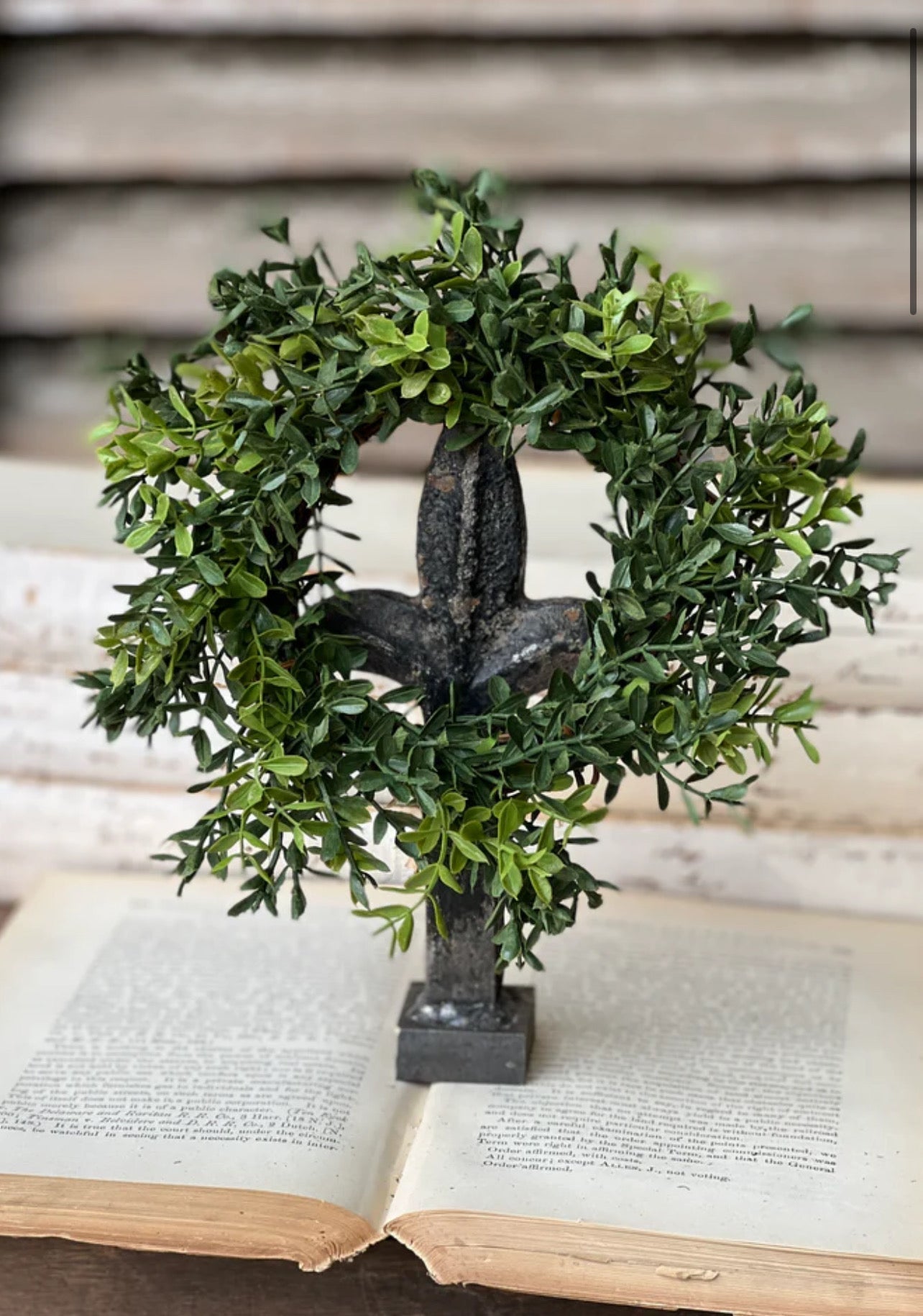 8" New England Boxwood Candle Ring - The Mustard Seed Collection, The Seed