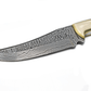 8" Perfect Hunting & Skinning Damascus Steel Fixed Blade Knife | Handmade 1095 4340 Carbon Mix Hand Pounded | Camel Bone Grip ideal for Outdoor Camping includes Sheath - The Mustard Seed Collection, The Seed