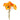 11" Real Touch Poppy-6 stems per bundle: Peach Bellini Angel Isabella