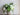 12.5"Real Touch lifelike Hydrangea-6”bloom: Soft Ivory Angel Isabella