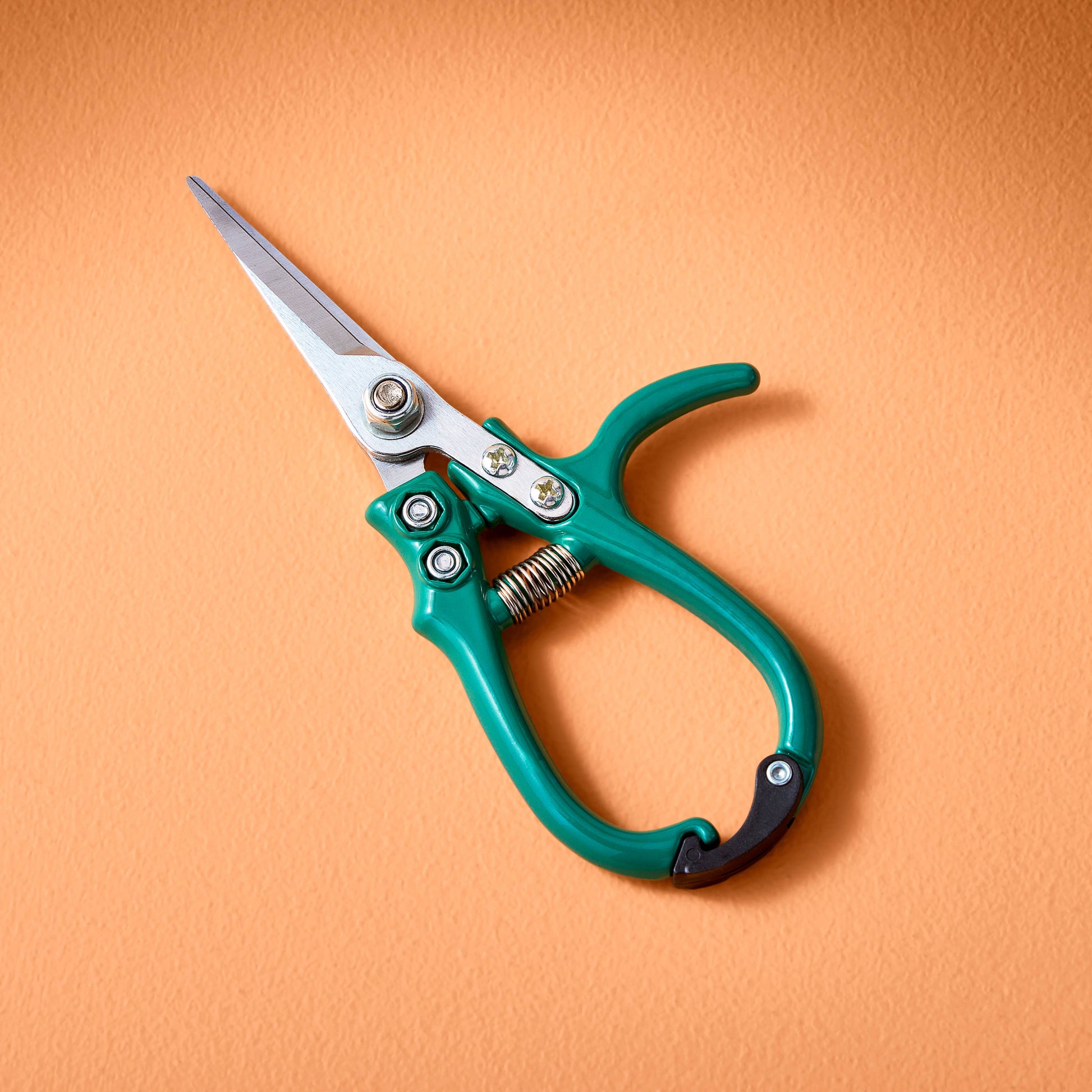 Garden Shears : Chartreuse