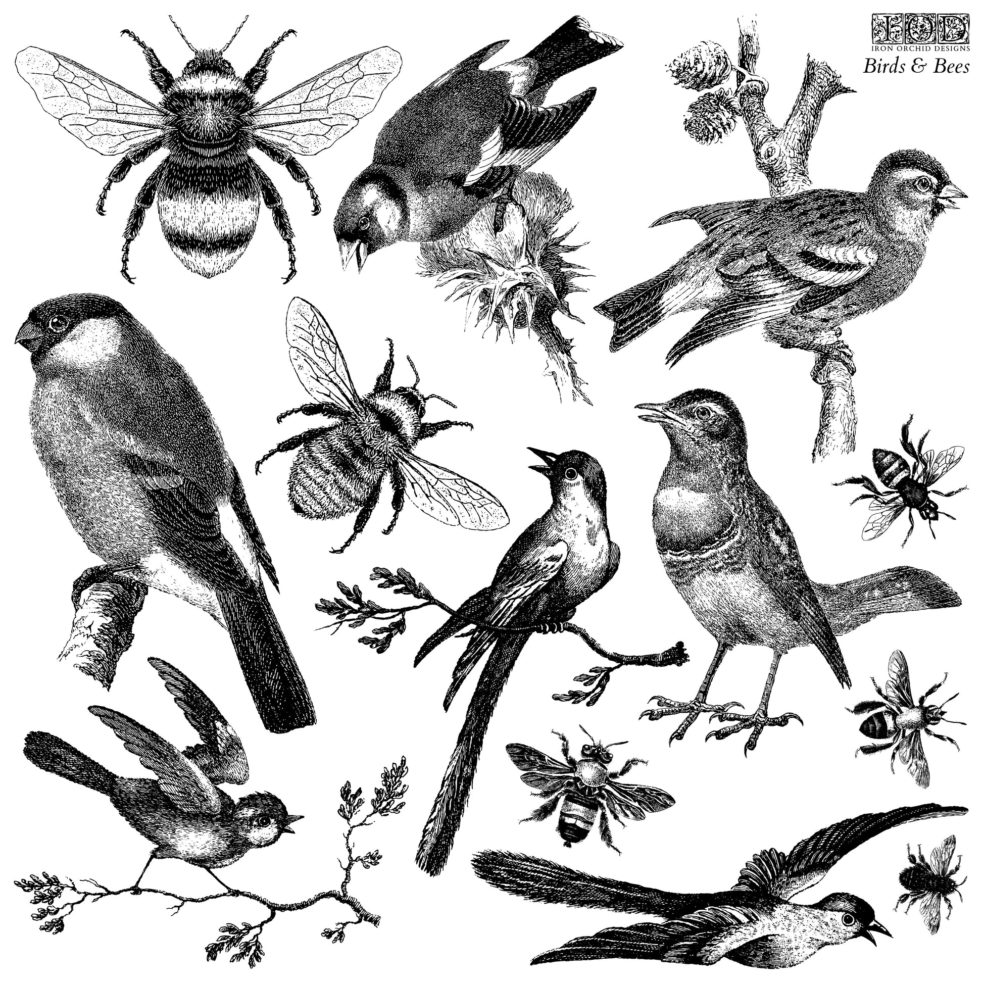 Birds & Bees 12x12 IOD StampЄ