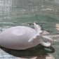 Antique Baby Invalid Feeder Cup Ironstone