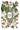 Clementine IOD Transfer 8X12 Pad Iron Orchid Designs, LLC.